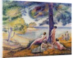 In the Shade, 1902 by Henri-Edmond Cross