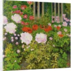 A rose hedge by Koloman Moser