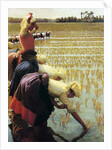 An Italian Rice Field, 1901 by Angelo Morbelli