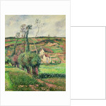 The Cabbage Slopes, Pontoise, 1882 by Camille Pissarro