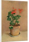 Geraniums in a Pot, c.1905 by Odilon Redon