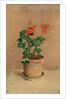 Geraniums in a Pot, c.1905 by Odilon Redon