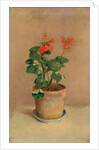 Geraniums in a Pot, c.1905 by Odilon Redon