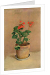 Geraniums in a Pot, c.1905 by Odilon Redon