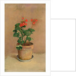 Geraniums in a Pot, c.1905 by Odilon Redon