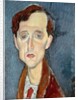 Portrait of Franz Hellens, 1919 by Amedeo Modigliani