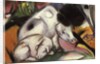 Pigs, 1912 by Franz Marc