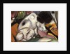 Pigs, 1912 by Franz Marc