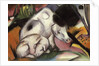 Pigs, 1912 by Franz Marc