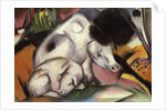 Pigs, 1912 by Franz Marc