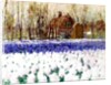 A Cottage and a Field of Hyacinths by George Hitchcock