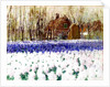 A Cottage and a Field of Hyacinths by George Hitchcock