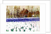 A Cottage and a Field of Hyacinths by George Hitchcock