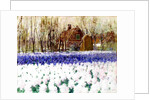 A Cottage and a Field of Hyacinths by George Hitchcock