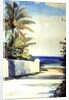 Road in Nassau, 1898-99 by Winslow Homer