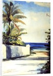 Road in Nassau, 1898-99 by Winslow Homer