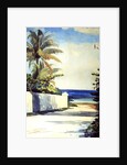 Road in Nassau, 1898-99 by Winslow Homer