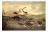 Wild Ducks Rising, 1840 by John Woodhouse Audubon