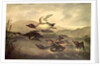 Wild Ducks Rising, 1840 by John Woodhouse Audubon