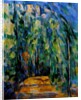 Path in the Forest, 1902-06 by Paul Cezanne