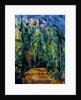 Path in the Forest, 1902-06 by Paul Cezanne