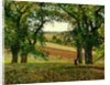Chestnut Trees at Osny, c.1873 by Camille Pissarro