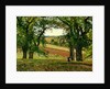 Chestnut Trees at Osny, c.1873 by Camille Pissarro