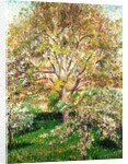 Trees in Bloom at Eragny, 1895 by Camille Pissarro