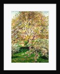 Trees in Bloom at Eragny, 1895 by Camille Pissarro