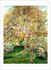 Trees in Bloom at Eragny, 1895 by Camille Pissarro