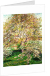 Trees in Bloom at Eragny, 1895 by Camille Pissarro