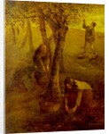Gathering Apples by Jean Francois I Millet