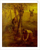 Gathering Apples by Jean Francois I Millet