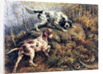 Pointer, Setter and Grouse by Edmund Henry Osthaus