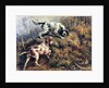 Pointer, Setter and Grouse by Edmund Henry Osthaus