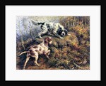 Pointer, Setter and Grouse by Edmund Henry Osthaus
