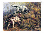 Pointer, Setter and Grouse by Edmund Henry Osthaus