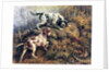 Pointer, Setter and Grouse by Edmund Henry Osthaus