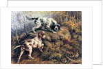 Pointer, Setter and Grouse by Edmund Henry Osthaus