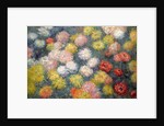 Chrysanthemums, 1897 by Claude Monet