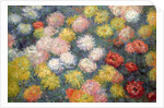 Chrysanthemums, 1897 by Claude Monet