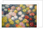 Chrysanthemums, 1897 by Claude Monet