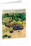 Grapes, 1893 by Emile Bernard