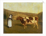 Shorthorn Cow, c.1840-50 by James Flewitt Mullock