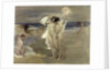 The Bathers by James Jebusa Shannon