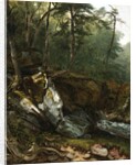 Study from Nature: Rocks and Trees in the Catskills, N.Y., 1856 by Asher Brown Durand