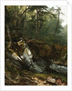 Study from Nature: Rocks and Trees in the Catskills, N.Y., 1856 by Asher Brown Durand
