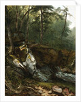 Study from Nature: Rocks and Trees in the Catskills, N.Y., 1856 by Asher Brown Durand