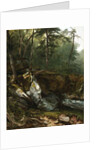 Study from Nature: Rocks and Trees in the Catskills, N.Y., 1856 by Asher Brown Durand