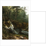 Study from Nature: Rocks and Trees in the Catskills, N.Y., 1856 by Asher Brown Durand
